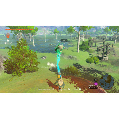 The Legend of Zelda: Tears of the Kingdom